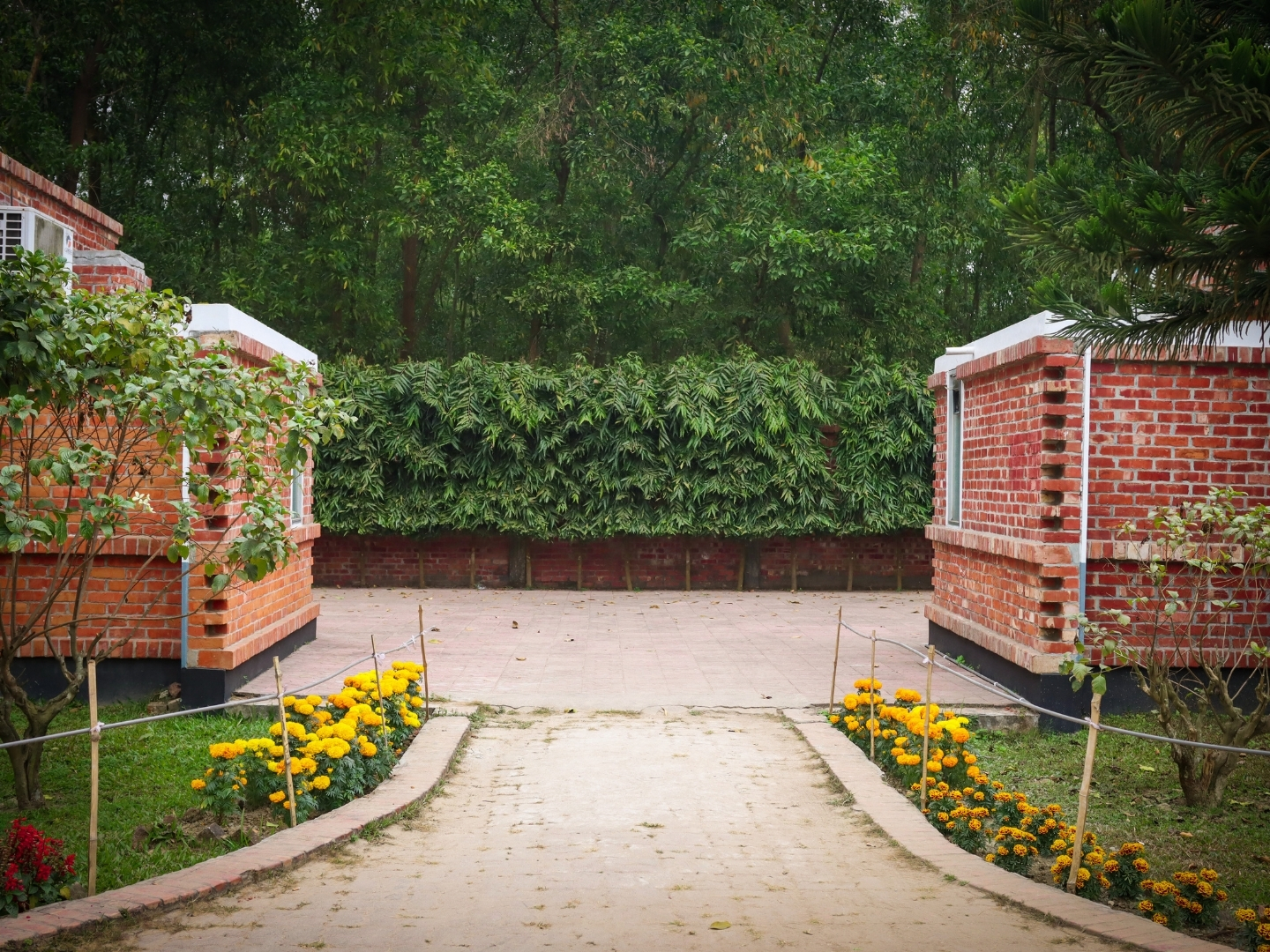 Outdoor Image 2